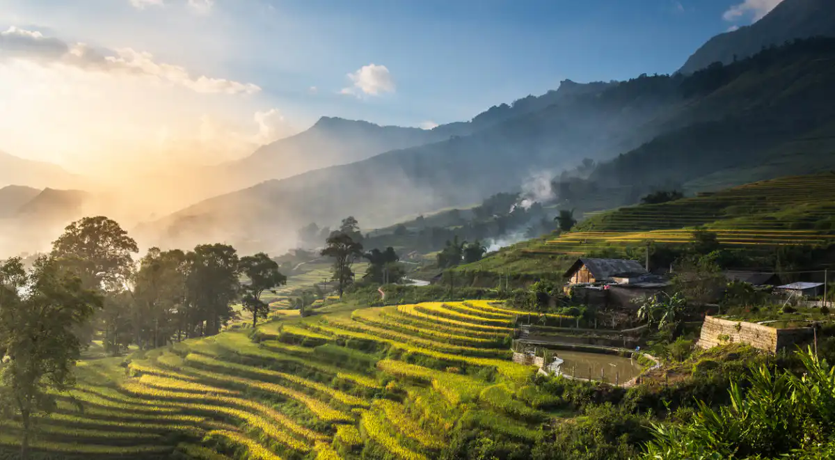 Rice fields on terraced in sunset at SAPA.