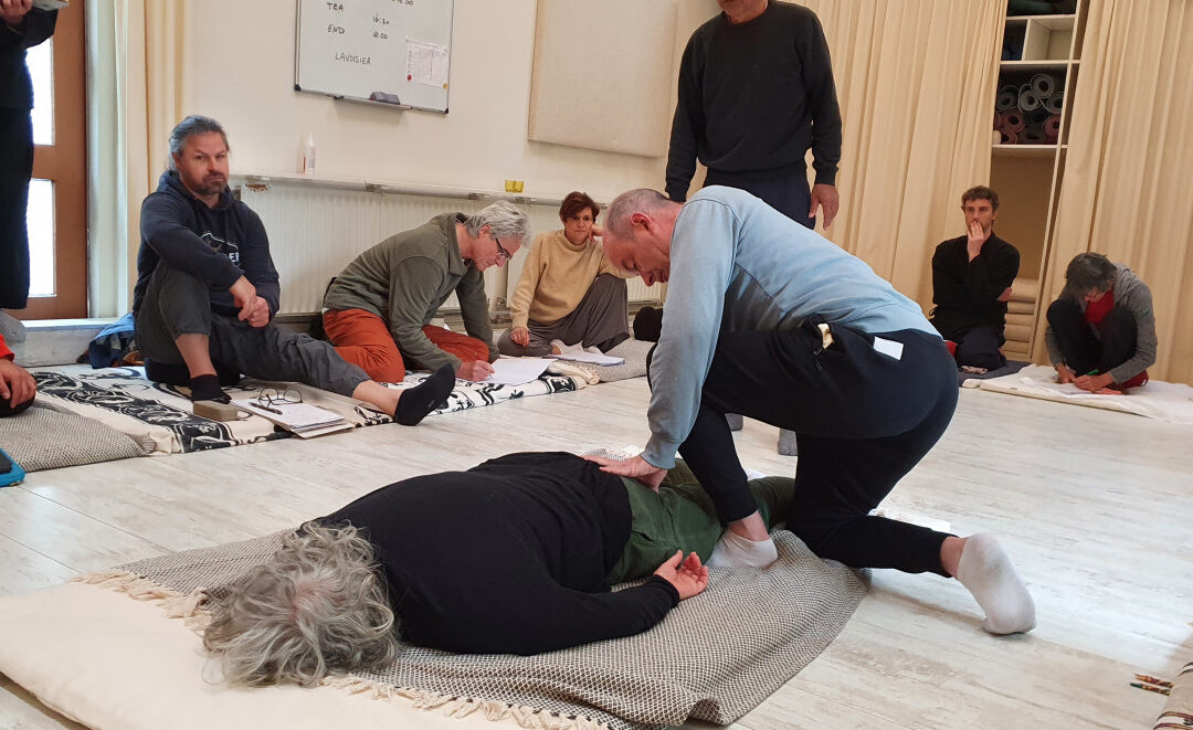 Meridian and Diagnosis Teacher training with Sasaki Sensei