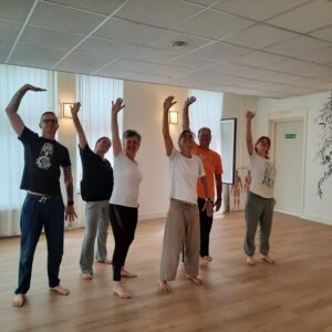 Masterclass Qiqong (serie)