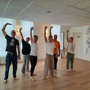 Masterclass Qiqong (serie)